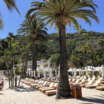 A Day at Catalina