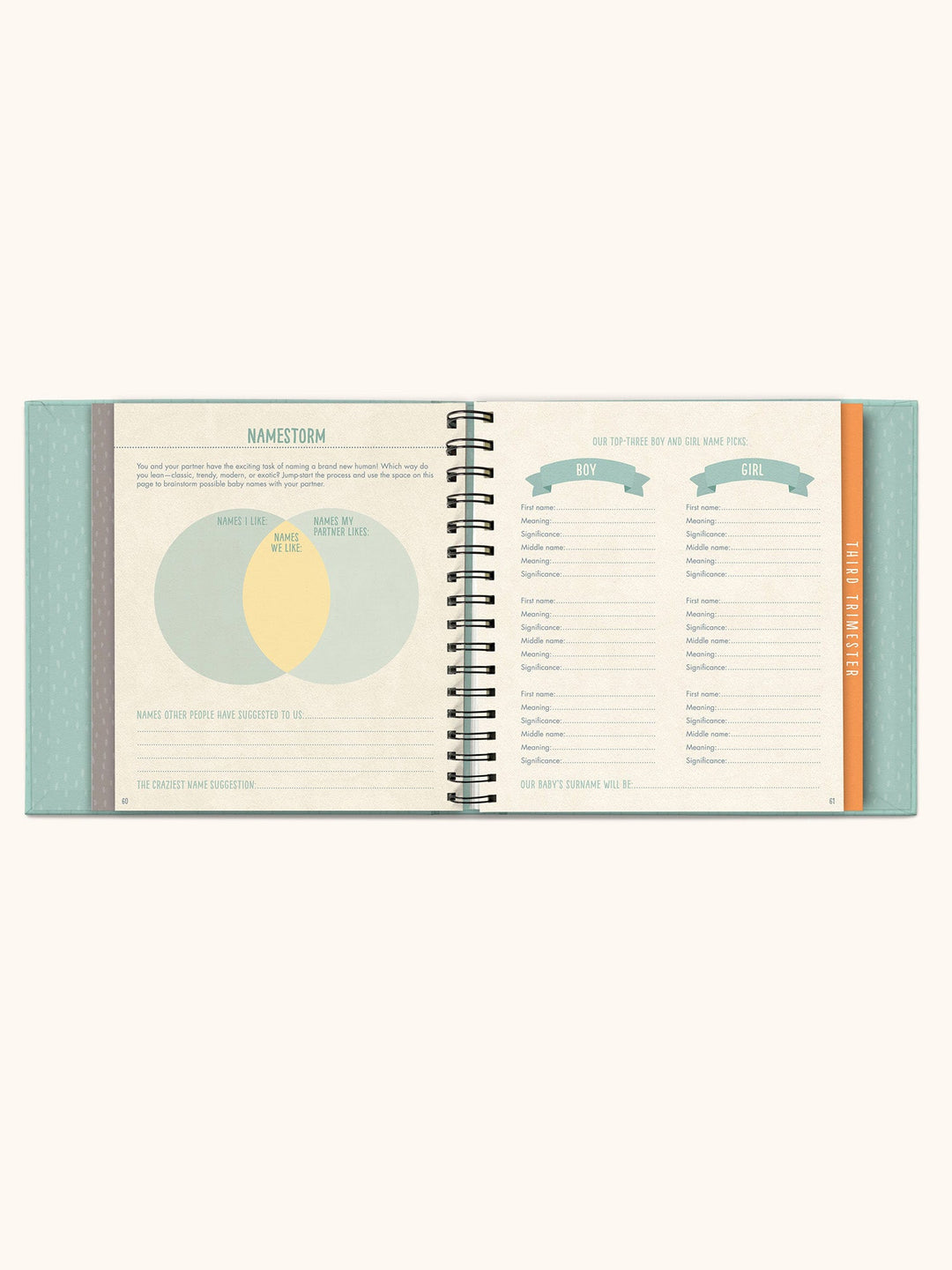 Bump For Joy Guided Journal