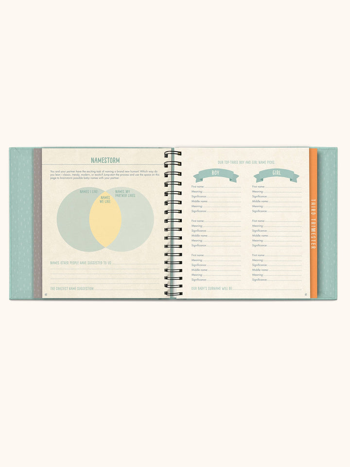 Bump For Joy Guided Journal