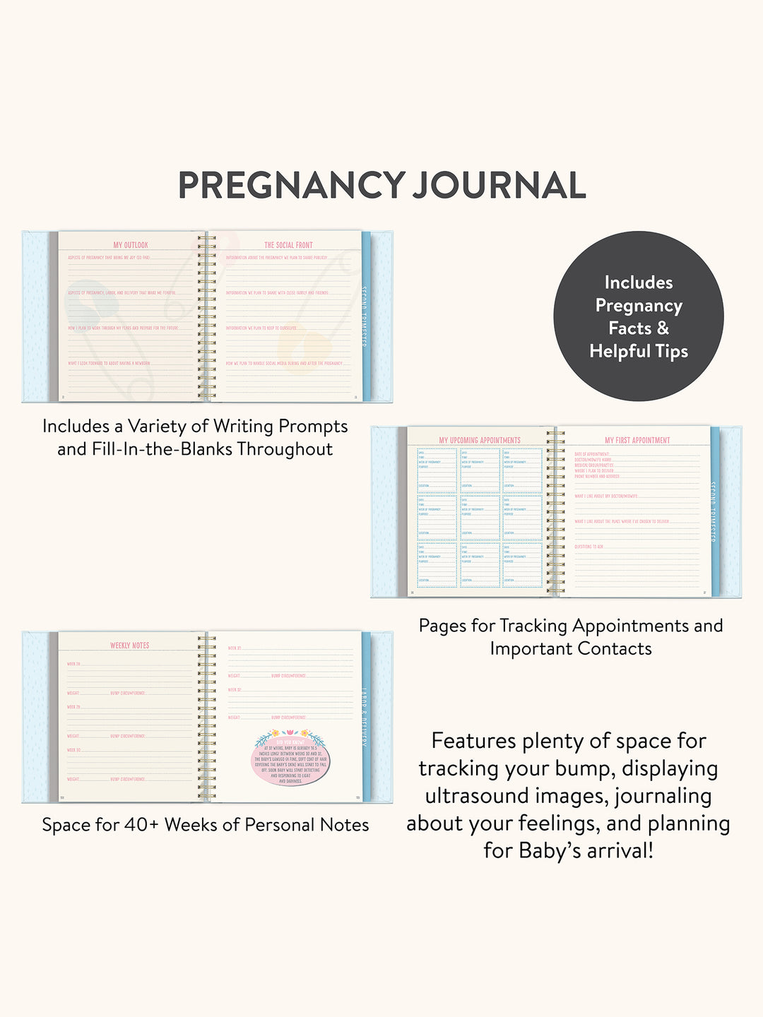 Bump For Joy Guided Journal (Blue)