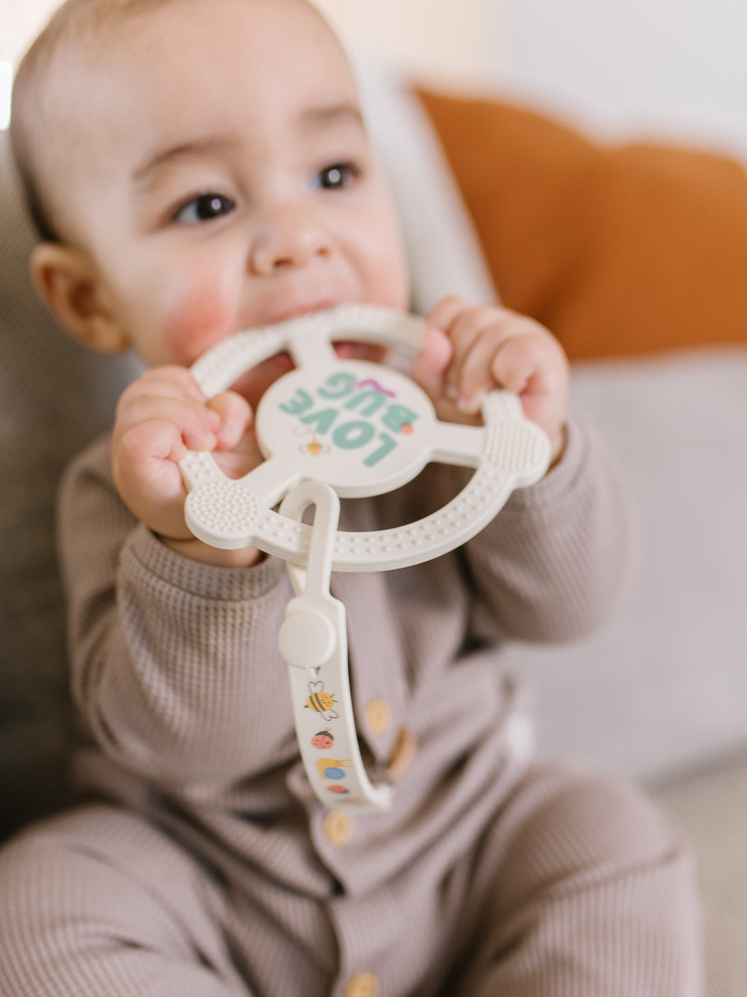 Silicone Teether Ring &amp; Detachable Clip - Love Bug
