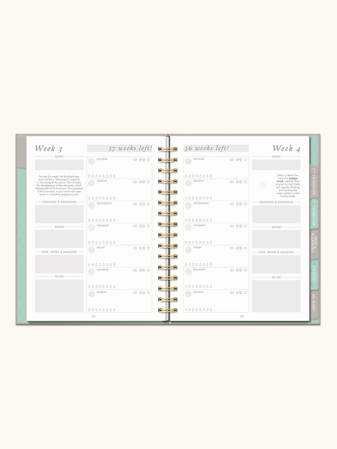 Countdown to Baby Undated Pregnancy Planner &amp; Journal