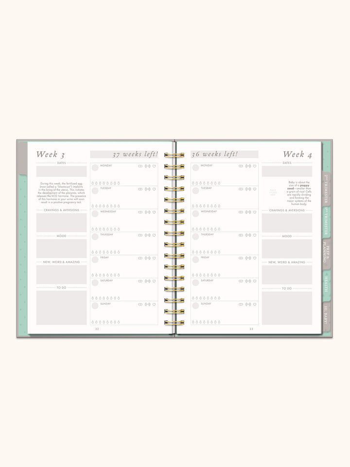 Countdown to Baby Undated Pregnancy Planner &amp; Journal