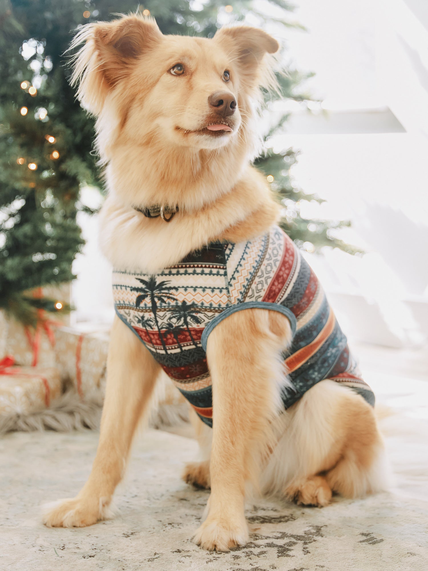 DoggieJams - West Coast Fair Isle